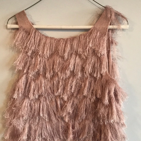 Zara pink blush fringe dress - Picture 5 of 5